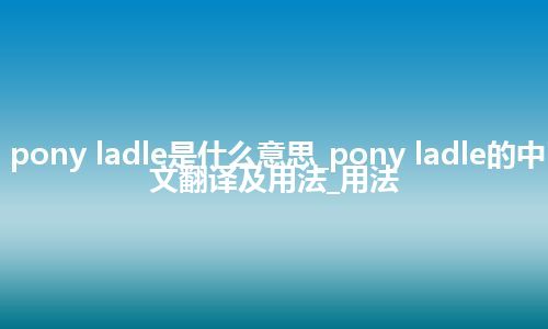 pony ladle是什么意思_pony ladle的中文翻译及用法_用法