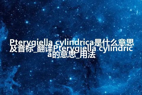 Pterygiella cylindrica是什么意思及音标_翻译Pterygiella cylindrica的意思_用法
