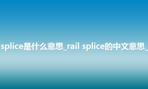 rail splice是什么意思_rail splice的中文意思_用法