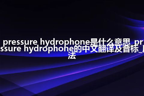 pressure hydrophone是什么意思_pressure hydrophone的中文翻译及音标_用法