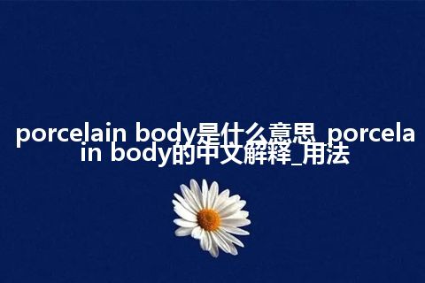 porcelain body是什么意思_porcelain body的中文解释_用法