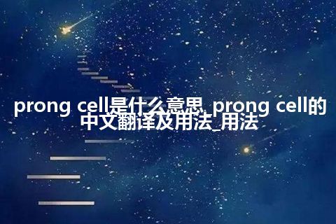 prong cell是什么意思_prong cell的中文翻译及用法_用法