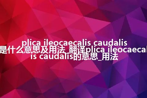 plica ileocaecalis caudalis是什么意思及用法_翻译plica ileocaecalis caudalis的意思_用法