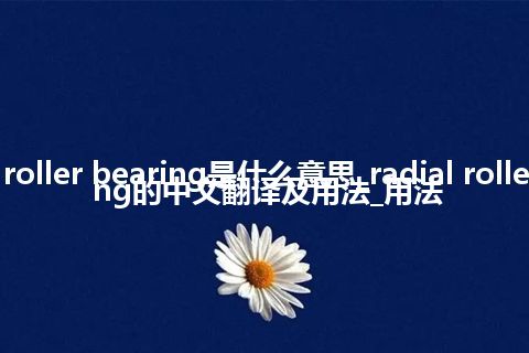 radial roller bearing是什么意思_radial roller bearing的中文翻译及用法_用法