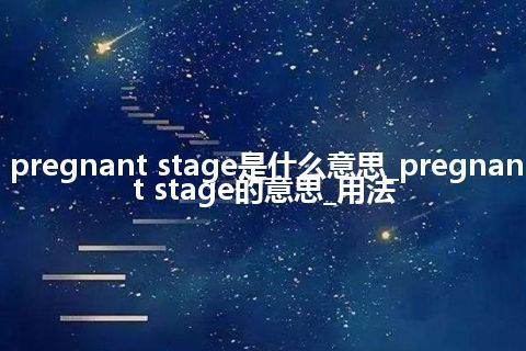 pregnant stage是什么意思_pregnant stage的意思_用法