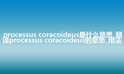 processus coracoideus是什么意思_翻译processus coracoideus的意思_用法