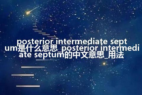 posterior intermediate septum是什么意思_posterior intermediate septum的中文意思_用法