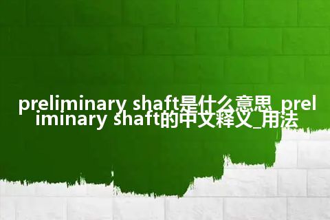 preliminary shaft是什么意思_preliminary shaft的中文释义_用法