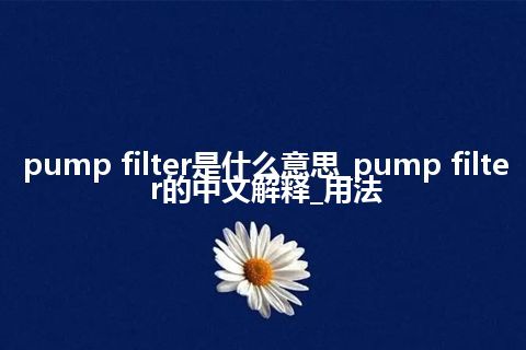 pump filter是什么意思_pump filter的中文解释_用法