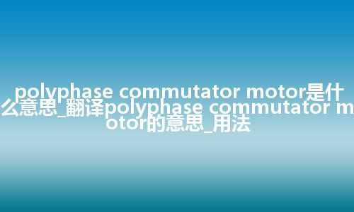 polyphase commutator motor是什么意思_翻译polyphase commutator motor的意思_用法
