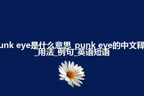 punk eye是什么意思_punk eye的中文释义_用法_例句_英语短语