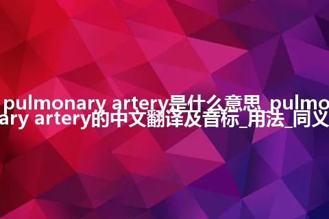 pulmonary artery是什么意思_pulmonary artery的中文翻译及音标_用法_同义词