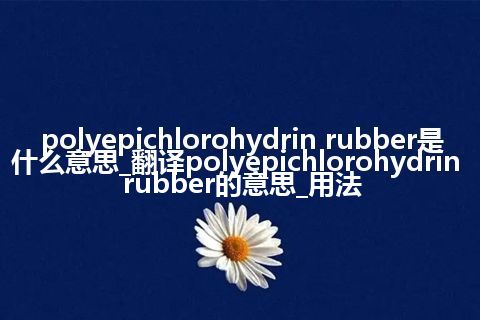 polyepichlorohydrin rubber是什么意思_翻译polyepichlorohydrin rubber的意思_用法