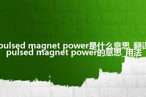 pulsed magnet power是什么意思_翻译pulsed magnet power的意思_用法