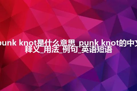 punk knot是什么意思_punk knot的中文释义_用法_例句_英语短语