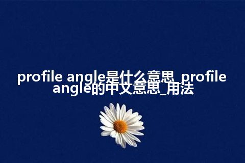profile angle是什么意思_profile angle的中文意思_用法
