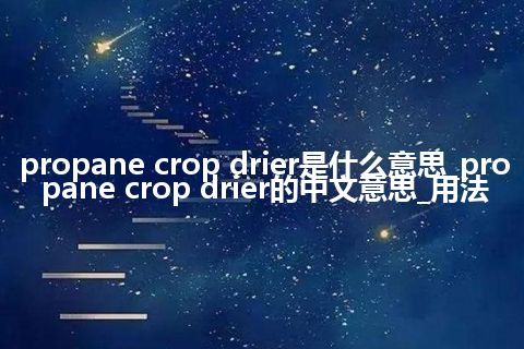 propane crop drier是什么意思_propane crop drier的中文意思_用法