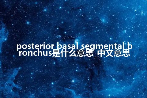 posterior basal segmental bronchus是什么意思_中文意思