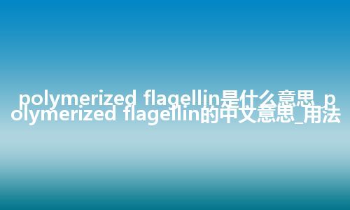 polymerized flagellin是什么意思_polymerized flagellin的中文意思_用法