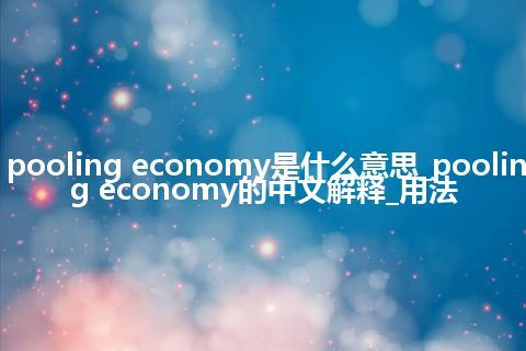 pooling economy是什么意思_pooling economy的中文解释_用法
