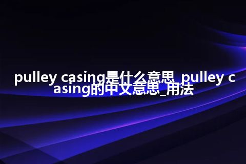 pulley casing是什么意思_pulley casing的中文意思_用法