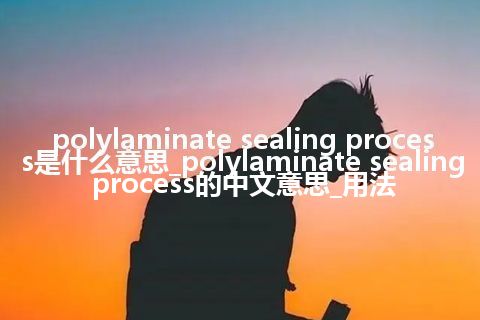 polylaminate sealing process是什么意思_polylaminate sealing process的中文意思_用法