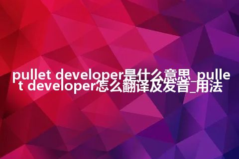pullet developer是什么意思_pullet developer怎么翻译及发音_用法