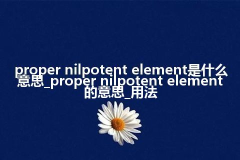 proper nilpotent element是什么意思_proper nilpotent element的意思_用法
