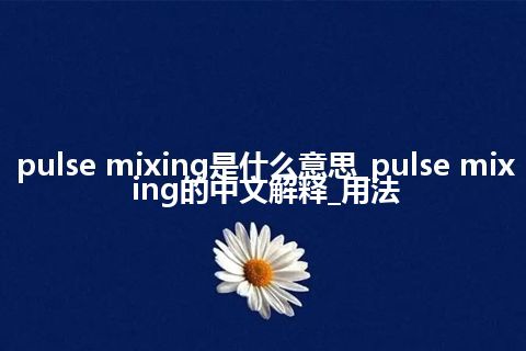 pulse mixing是什么意思_pulse mixing的中文解释_用法