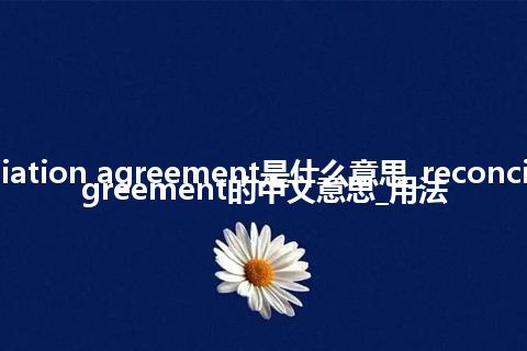 reconciliation agreement是什么意思_reconciliation agreement的中文意思_用法