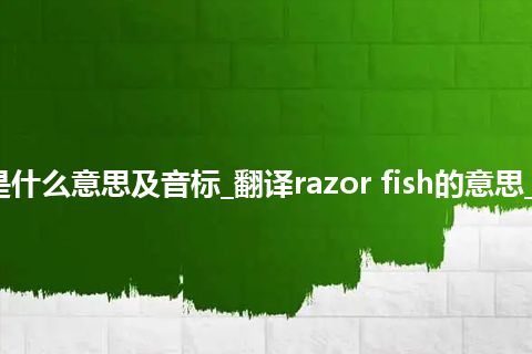 razor fish是什么意思及音标_翻译razor fish的意思_用法_同义词
