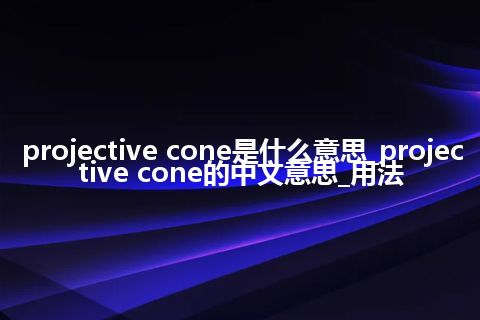 projective cone是什么意思_projective cone的中文意思_用法