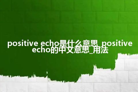 positive echo是什么意思_positive echo的中文意思_用法