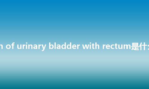 reconstruction of urinary bladder with rectum是什么意思_中文意思
