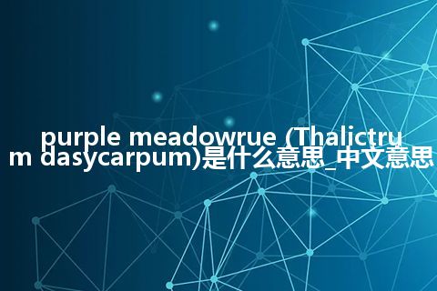 purple meadowrue (Thalictrum dasycarpum)是什么意思_中文意思