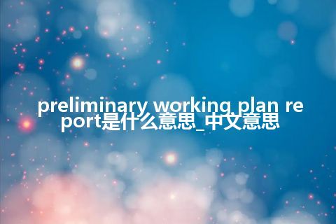 preliminary working plan report是什么意思_中文意思