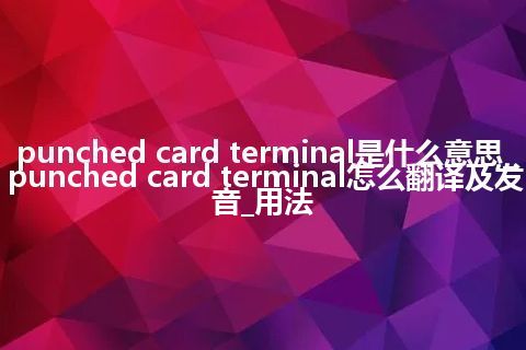 punched card terminal是什么意思_punched card terminal怎么翻译及发音_用法