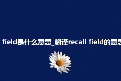 recall field是什么意思_翻译recall field的意思_用法