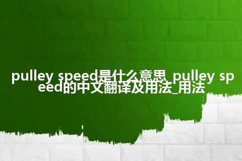 pulley speed是什么意思_pulley speed的中文翻译及用法_用法