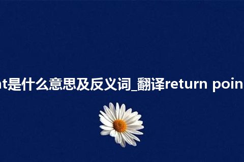 return point是什么意思及反义词_翻译return point的意思_用法