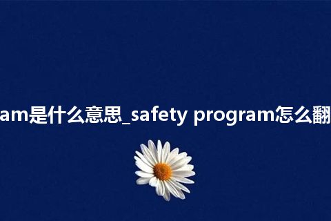 safety program是什么意思_safety program怎么翻译及发音_用法