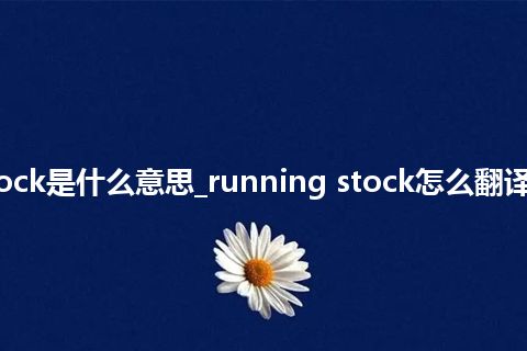 running stock是什么意思_running stock怎么翻译及发音_用法