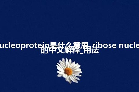 ribose nucleoprotein是什么意思_ribose nucleoprotein的中文解释_用法