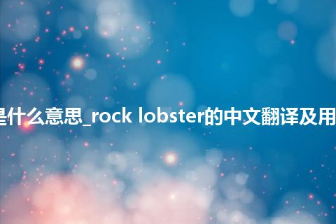 rock lobster是什么意思_rock lobster的中文翻译及用法_用法_同义词