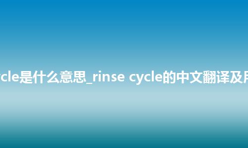 rinse cycle是什么意思_rinse cycle的中文翻译及用法_用法