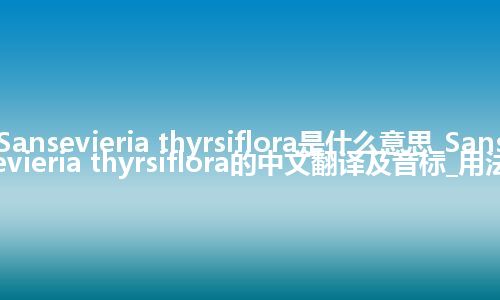 Sansevieria thyrsiflora是什么意思_Sansevieria thyrsiflora的中文翻译及音标_用法