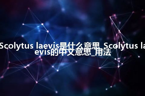 Scolytus laevis是什么意思_Scolytus laevis的中文意思_用法