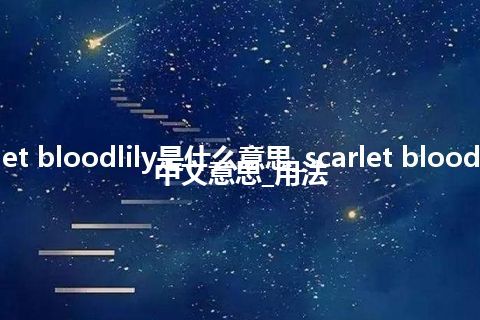 scarlet bloodlily是什么意思_scarlet bloodlily的中文意思_用法