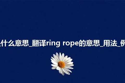ring rope是什么意思_翻译ring rope的意思_用法_例句_英语短语