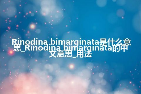 Rinodina bimarginata是什么意思_Rinodina bimarginata的中文意思_用法